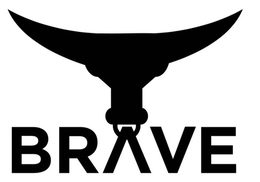 BRAVE logo