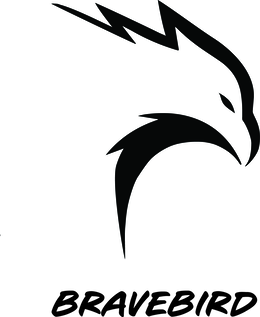 BRAVEBIRD logo