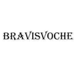 BRAVISVOCHE logo