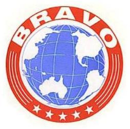 BRAVO logo