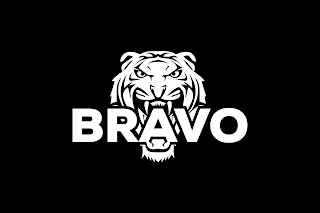 BRAVO logo