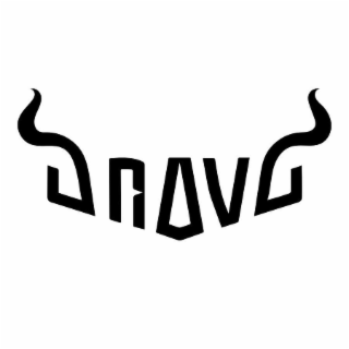 BRAVO logo