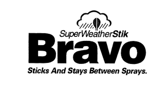 BRAVO SUPERWEATHERSTIK STICKS AND STAYSBETWEEN SPRAYS. logo