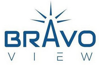 BRAVO VIEW logo