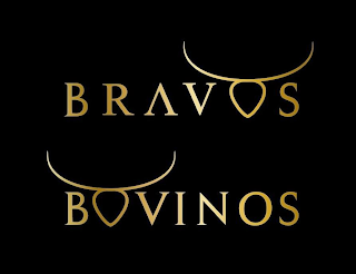 BRAVOS BOVINOS logo