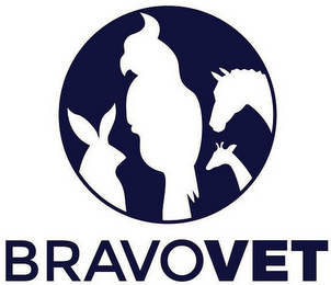 BRAVOVET logo