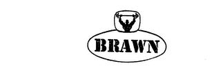 BRAWN logo