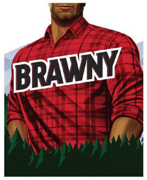 BRAWNY logo