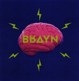 BRAYN logo