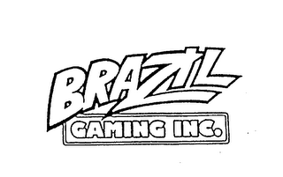 BRAZIL GAMING INC. logo
