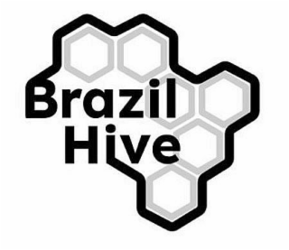 BRAZIL HIVE logo