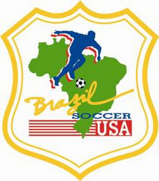 BRAZIL SOCCER USA logo