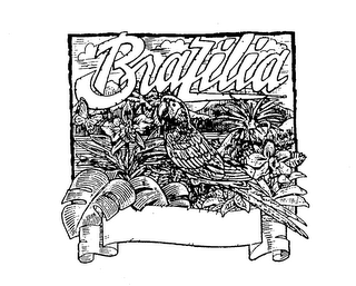 BRAZILIA logo