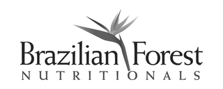 BRAZILIAN FOREST NUTRITIONALS logo
