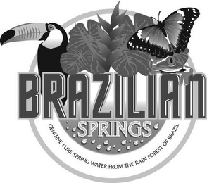 BRAZILIAN SPRINGS GENUINE PURE SPRING WATER FROM THE RAIN FOREST OF BRAZIL logo