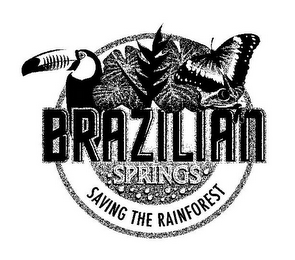 BRAZILIAN SPRINGS SAVING THE RAINFOREST logo