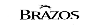 BRAZOS logo