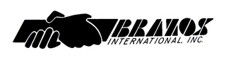 BRAZOS INTERNATIONAL, INC. logo