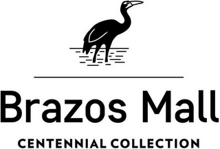 BRAZOS MALL CENTENNIAL COLLECTION logo