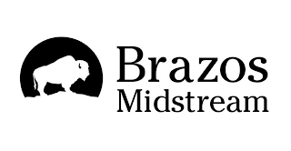 BRAZOS MIDSTREAM logo