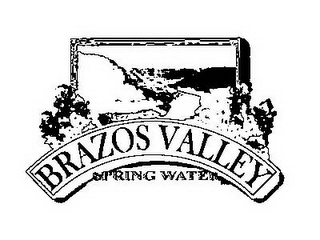 BRAZOS VALLEY SPRING WATER logo