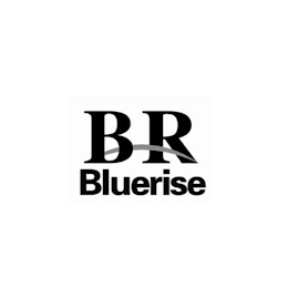 BRBLUERISE logo