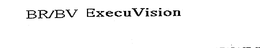 BR/BV EXECUVISION logo