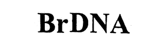 BRDNA logo