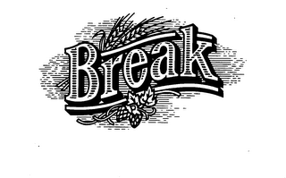 BREAK logo