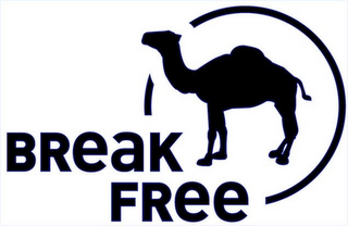 BREAK FREE logo