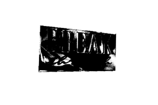 BREAK THROUGH logo