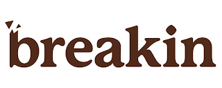 BREAKIN logo