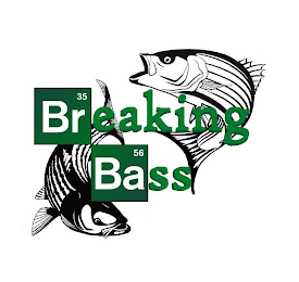 BREAKING BASS 35 56 logo