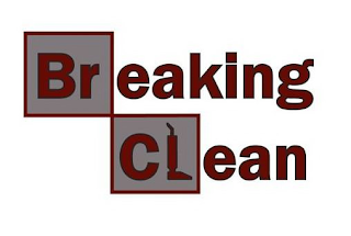BREAKING CLEAN logo