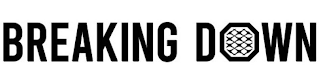 BREAKING DOWN logo