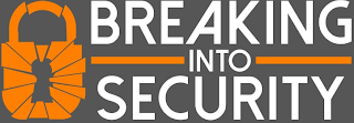 BREAKING INTO SECURITY logo