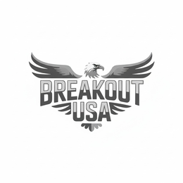 BREAKOUT USA logo
