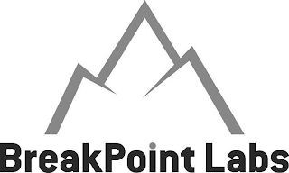 BREAKPOINT LABS logo