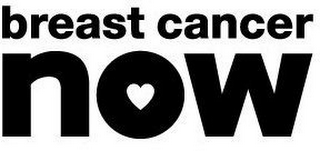 BREAST CANCER NOW logo