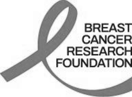 BREAST CANCER RESEARCH FOUNDATION logo