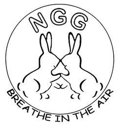 BREATHE IN THE AIR NGG logo