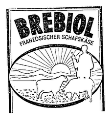 BREBIOL FRANZOSISCHER SCHAFSKASE logo