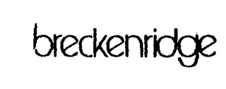 BRECKENRIDGE logo