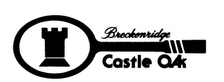 BRECKENRIDGE CASTLE OAK logo