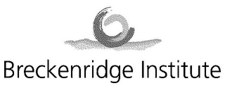 BRECKENRIDGE INSTITUTE logo