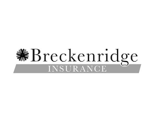 BRECKENRIDGE INSURANCE logo