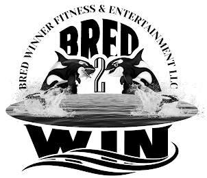 BRED 2 WIN BRED WINNER FITNESS & ENTERTAINMENT LLC logo