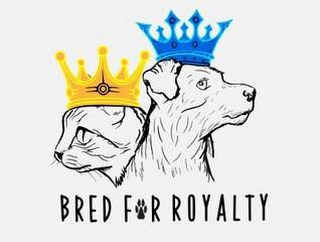 BRED FOR ROYALTY logo