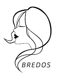 BREDOS logo
