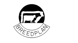 BREEDPLAN logo